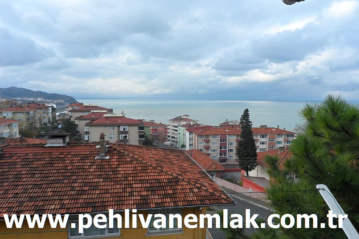 Alaplı Üç Katlılarda Full Yapılı Kiralık Daire