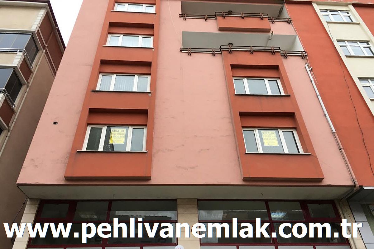 Alaplı Merkez Ofis