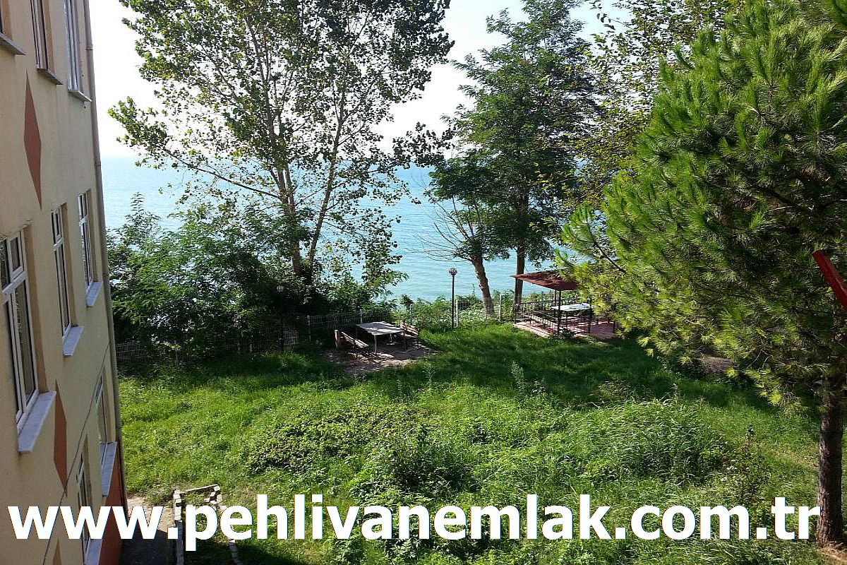 Alaplı Satılık Daire