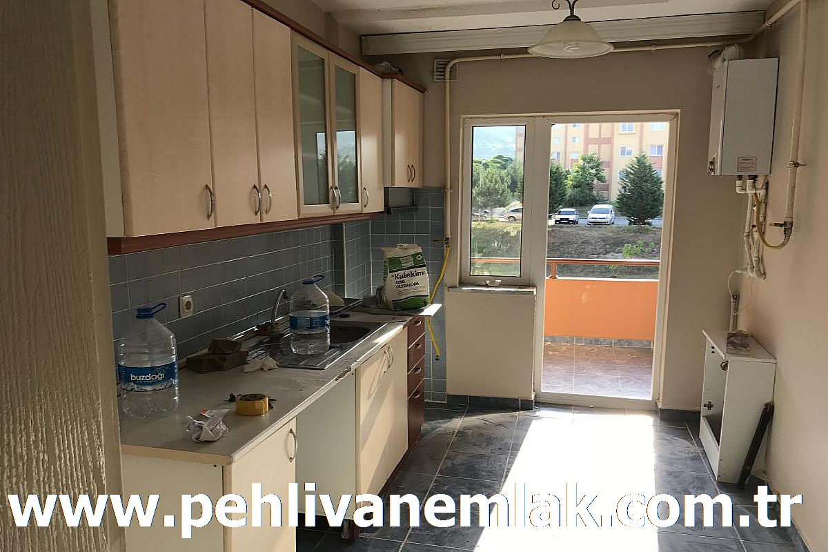 Alaplı Toki Kiralık Daire
