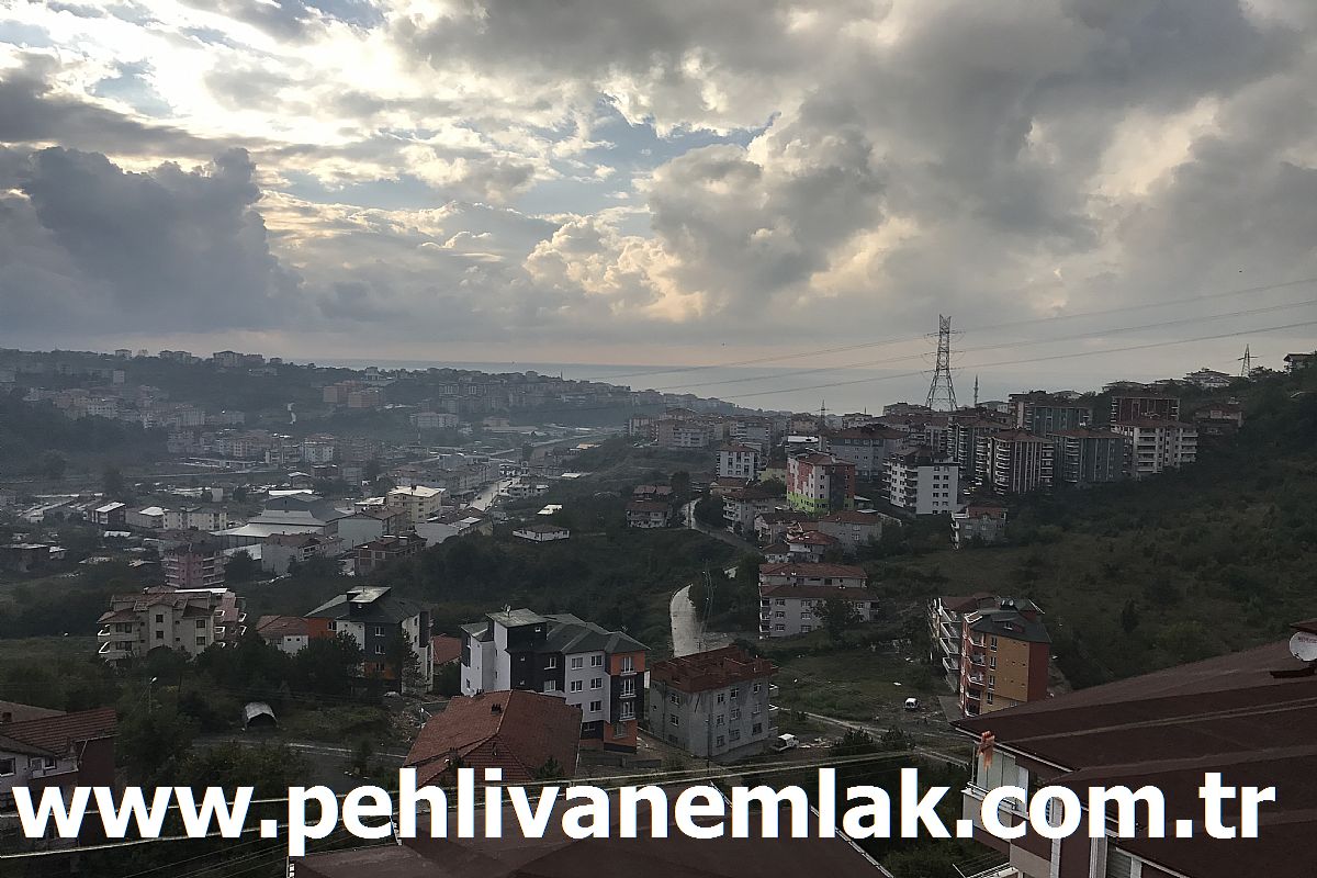 Alaplı Yunus Sitesi Kiralık Daire