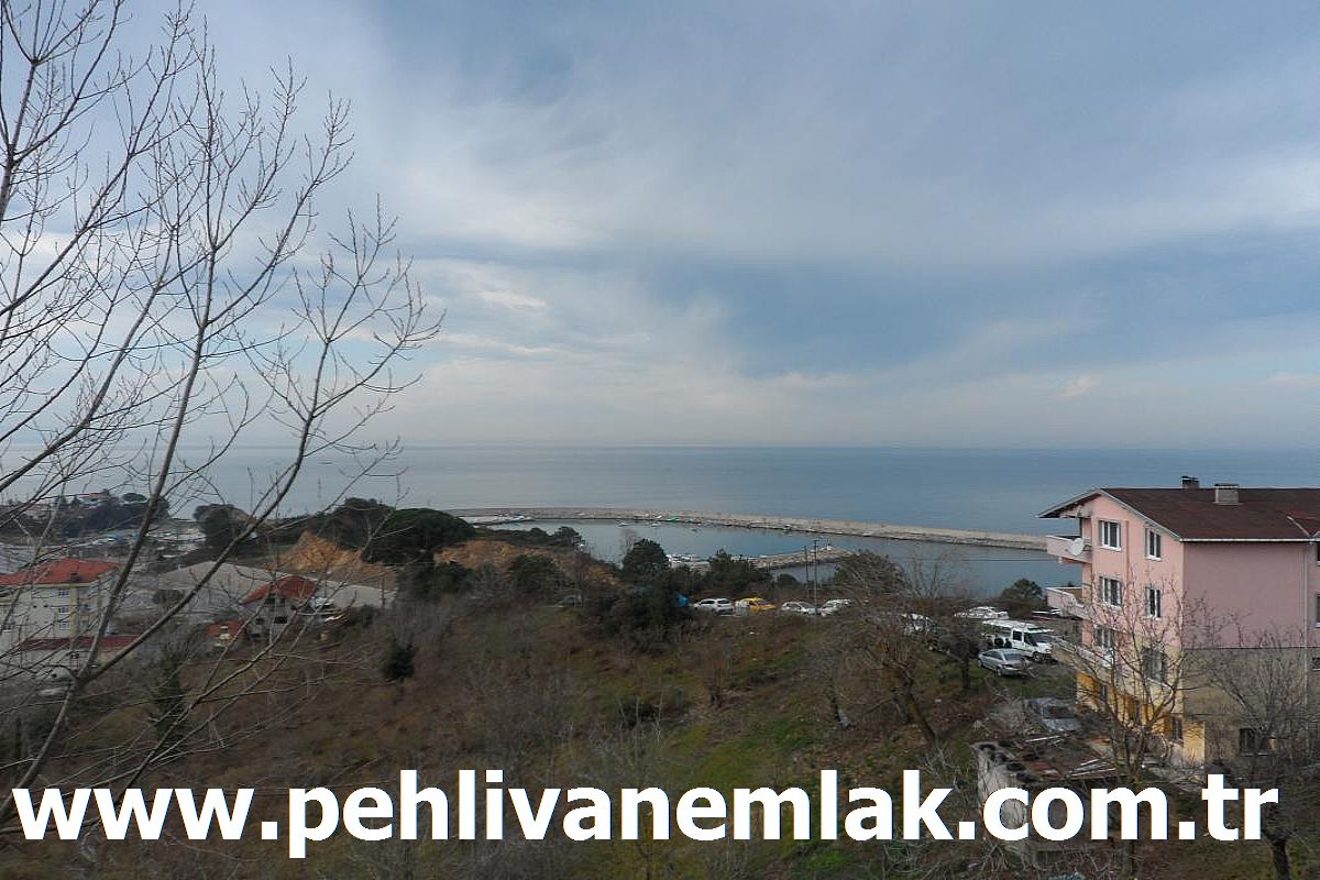 Alaplı Deniz Manzaralı Satılık Bina