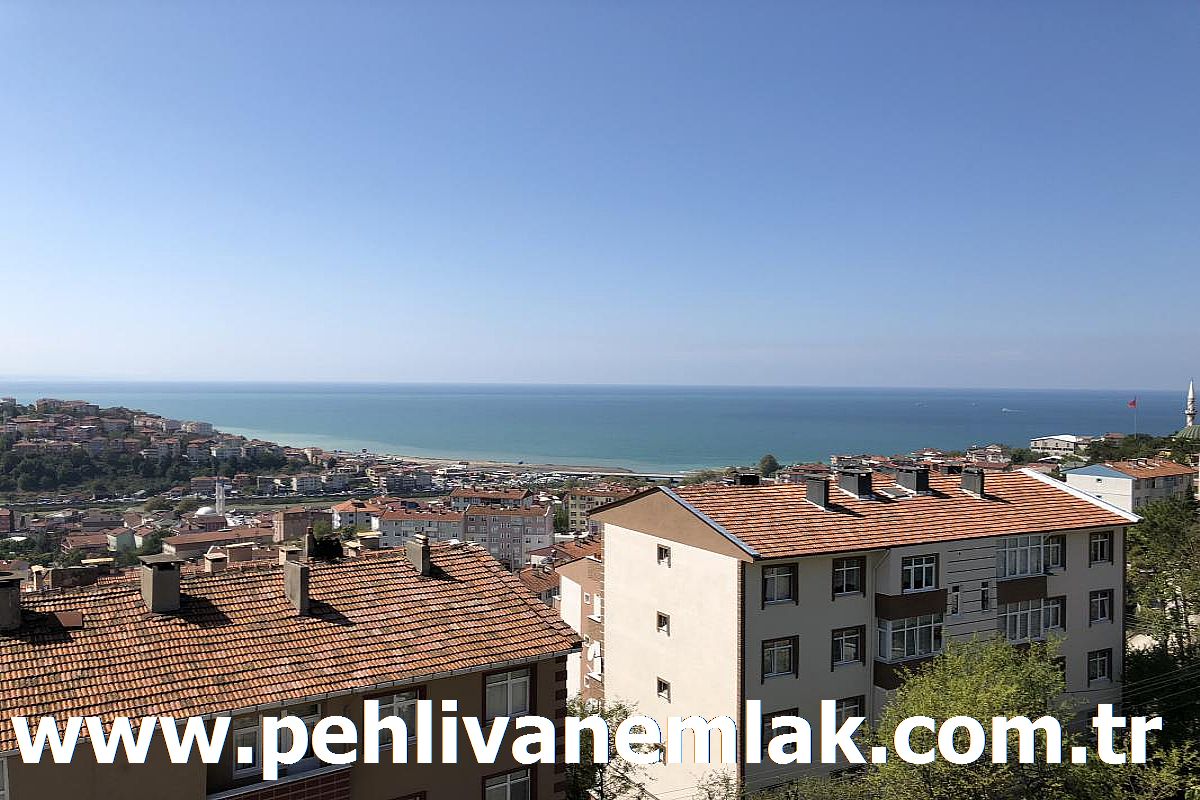 Alaplı 1050 Evlerde Çarşıya Yakın Kiralık Daire