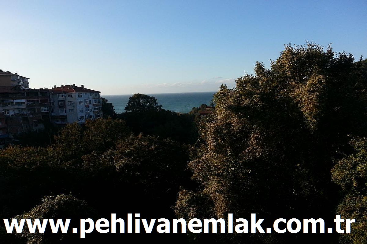 Alaplı Müstakil Kiralık Daire