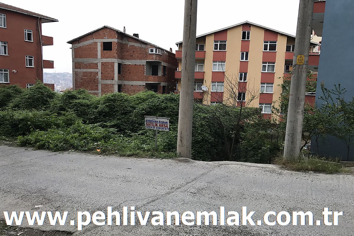 Alaplı Fatih Mahallesi Satılık Arsa