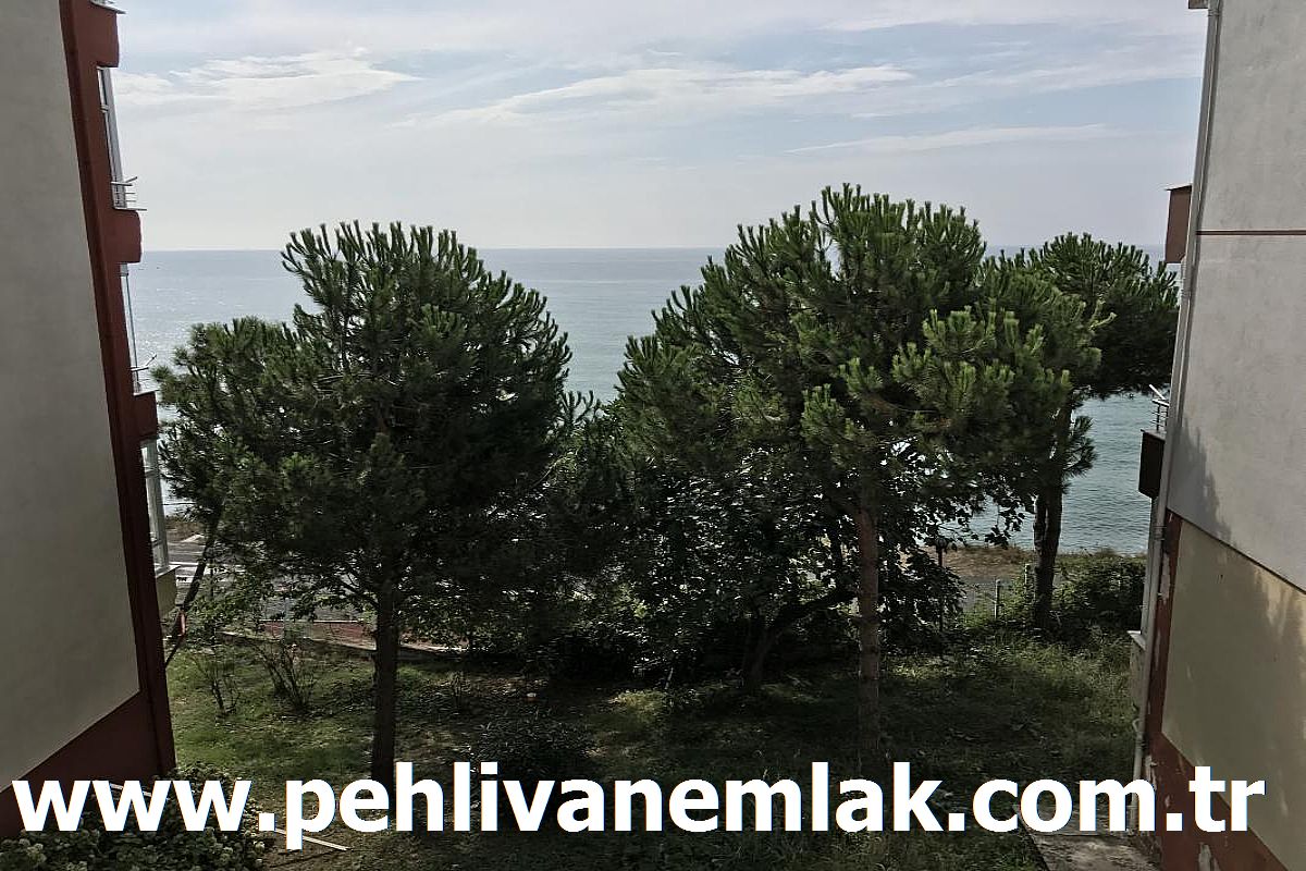 Alaplı Satılık Daire