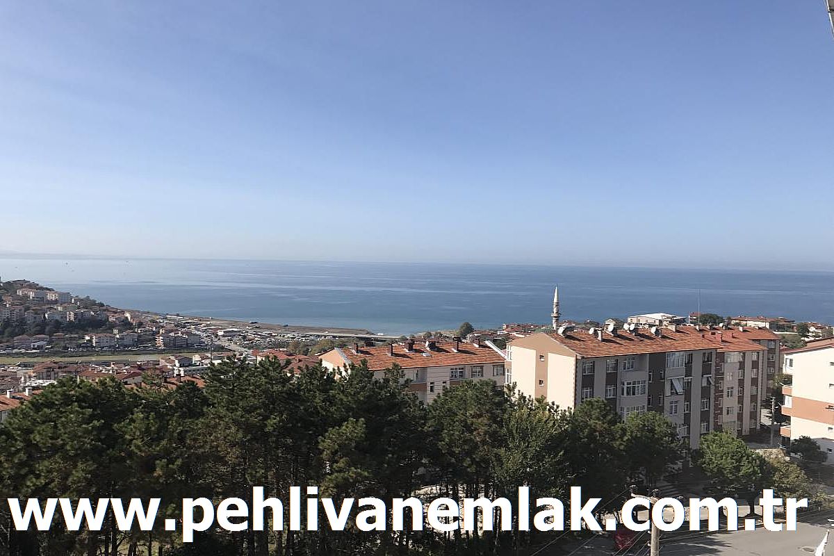 Alaplı Satılık Daire