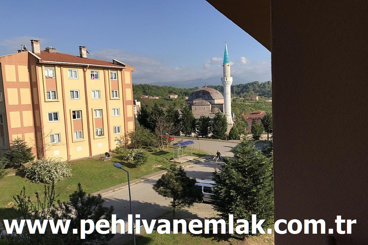 Alaplı Tokide Full Yapılı Acil Satılık Daire
