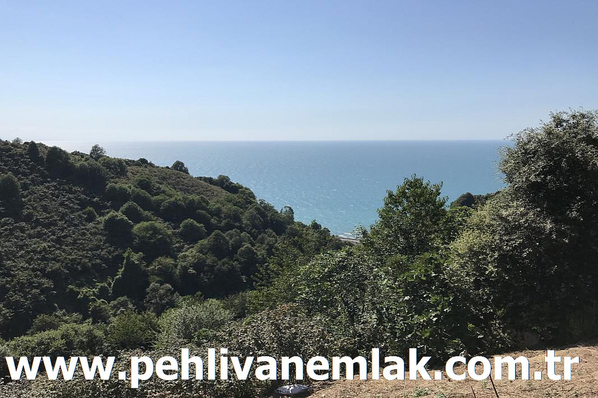 Alaplı Deniz Manzaralı Tarla