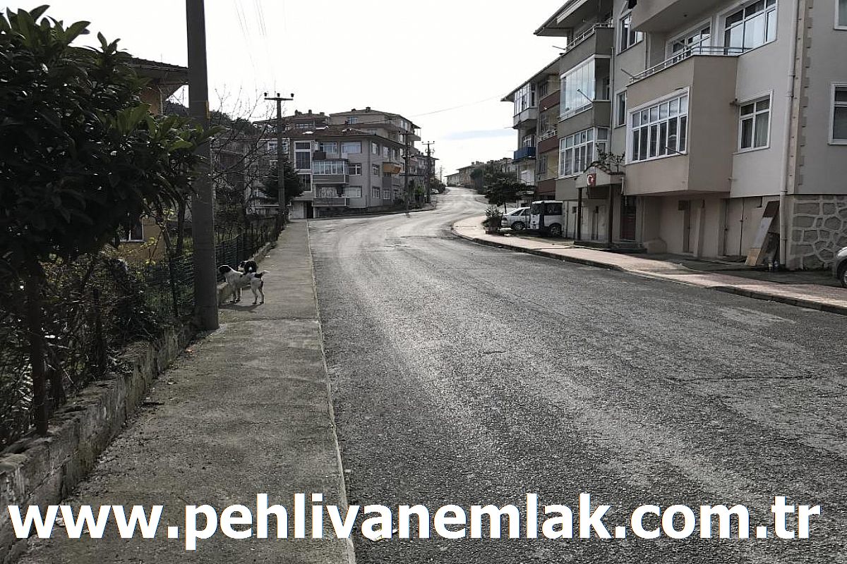 Alaplı Üç Katlılar Satılık Daire