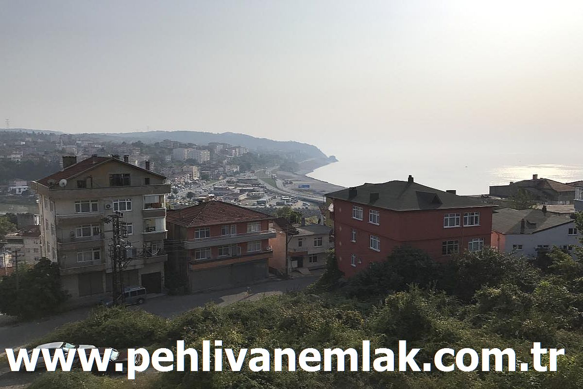 Alaplı Konak Satılık Daire