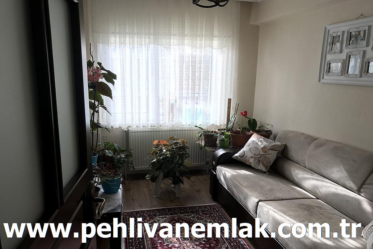 Alaplı Full Yapılı Satılık Daire