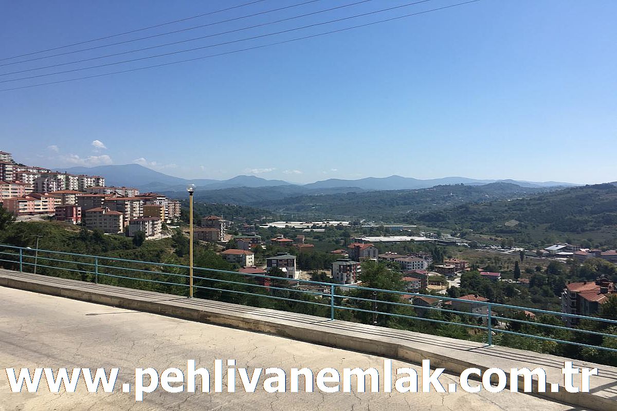 Alaplı Yeni Siteler Mahallesi Kiralık Daire
