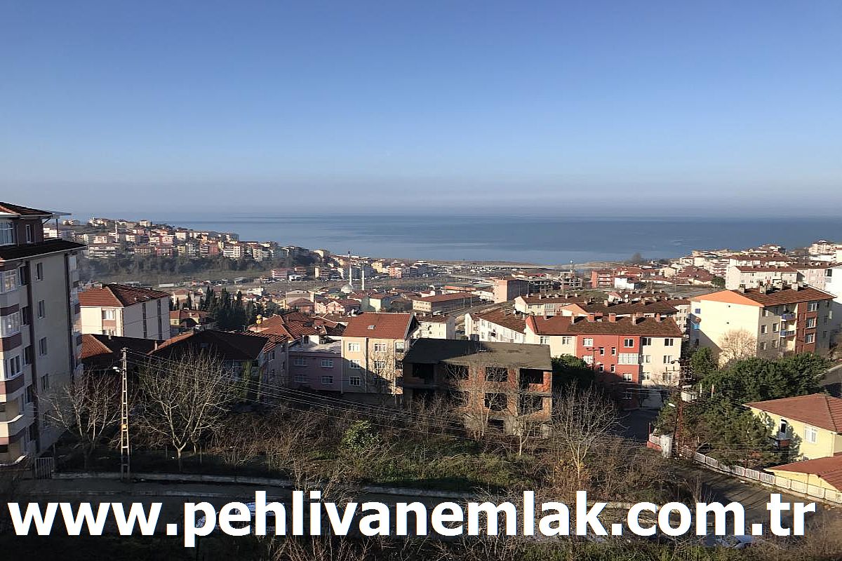 Alaplı Sıfır Satılık Daire