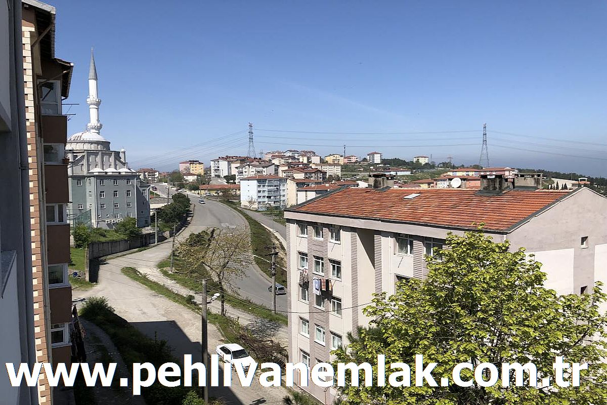 Alaplı Tepeköy İçi Yapısız Satılık Daire