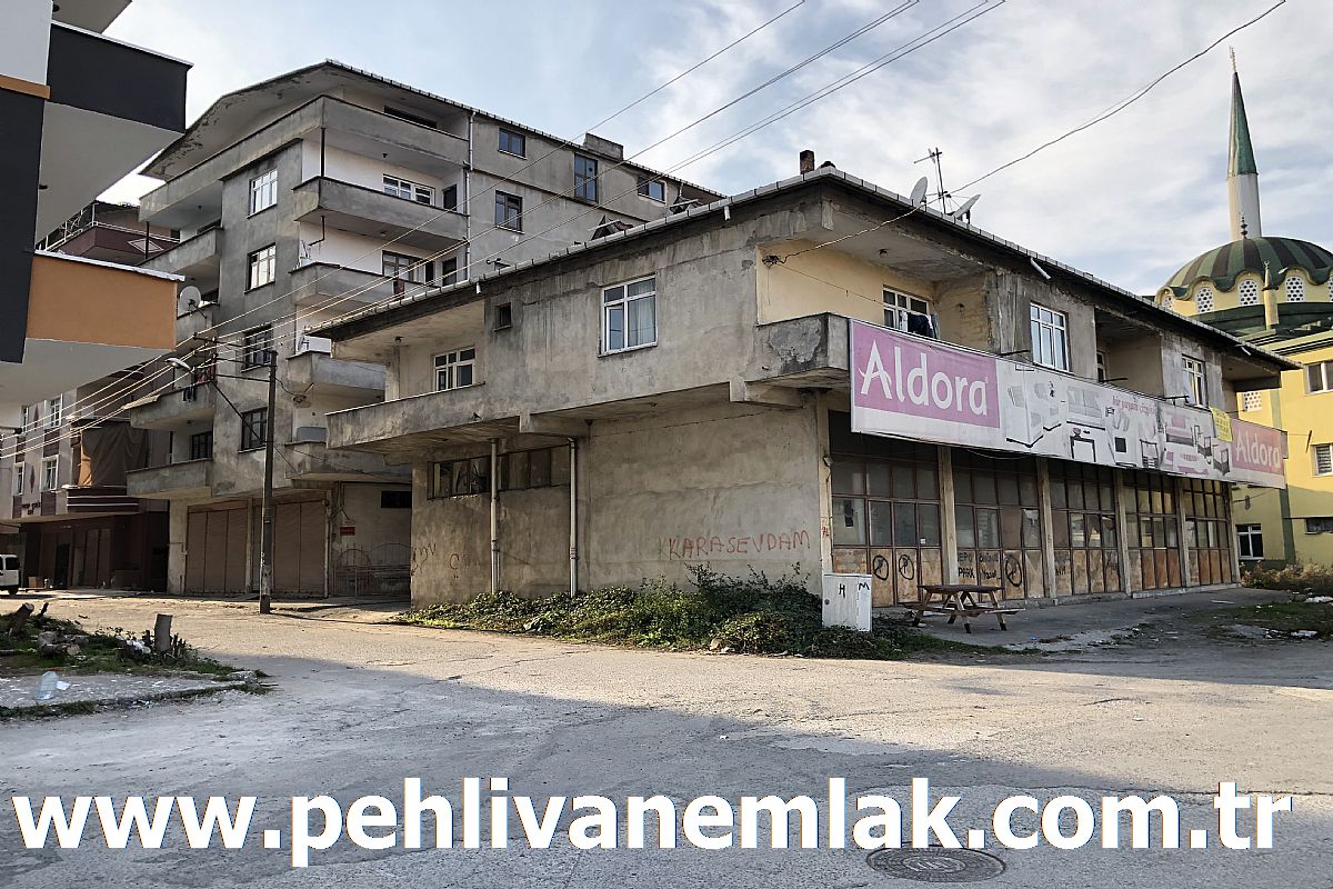 Alaplı Merkezde Satılık Bina ve Arsası