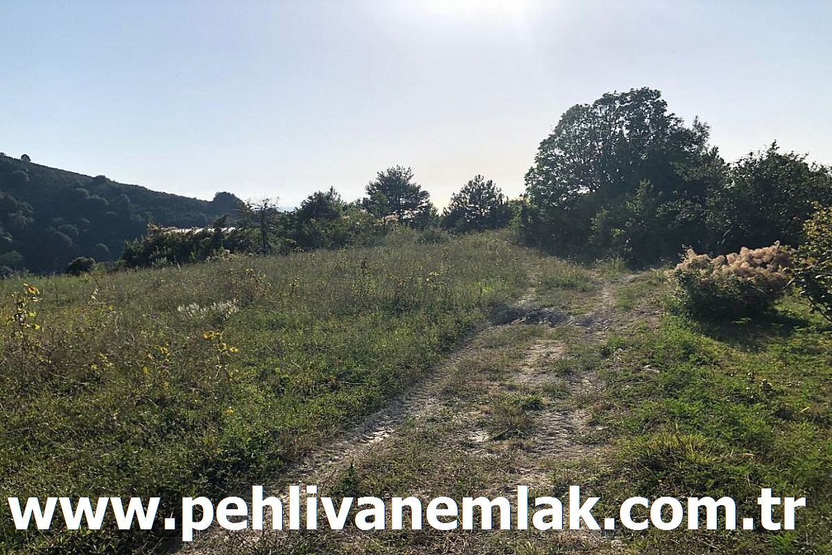 Alaplı Deniz Manzaralı Satılık Arsa