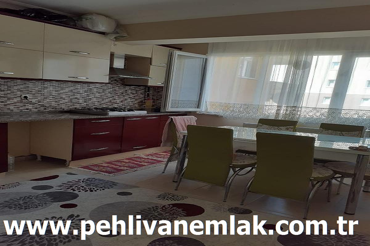 ALAPLI ACİL SATILIK DOĞA VE DENİZ MANZARALI SATILIK DAİRE