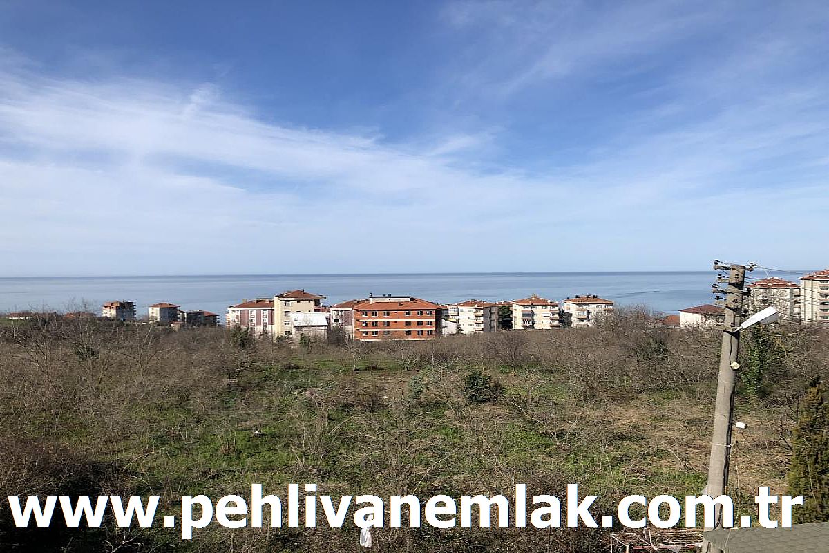 Alaplı Karşıyaka Sıfır Deniz Manzaralı Satılık Daire