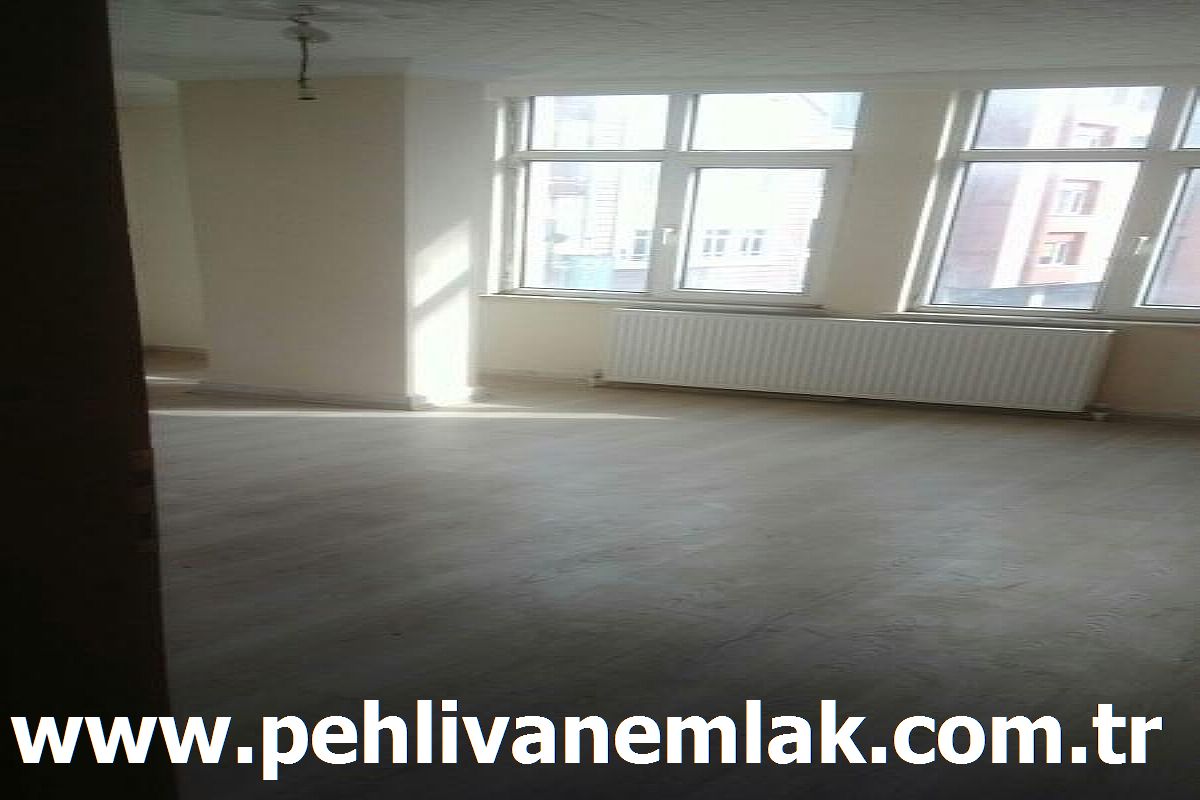 Alaplı 1+1 Kiralık