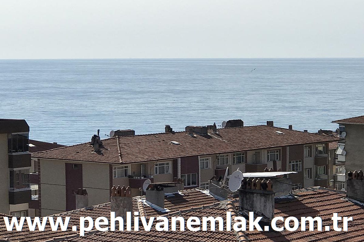 Alaplı Üç Katlılar Satılık Daire