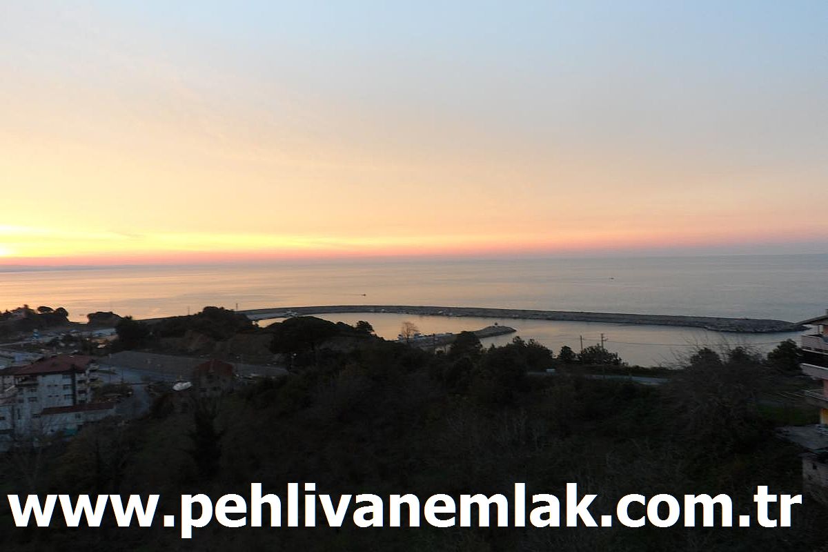 Alaplı Satılık Bina