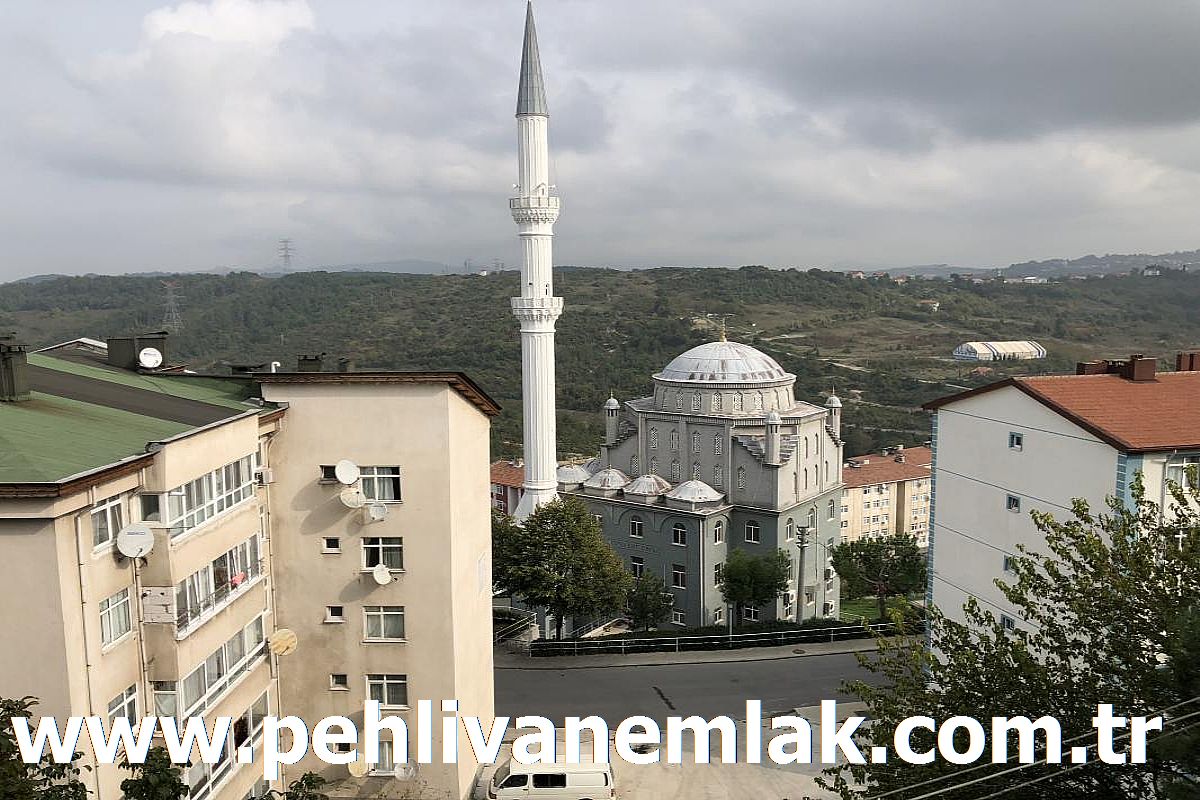 Alaplı Tepeköy Kombili Kiralık Daire