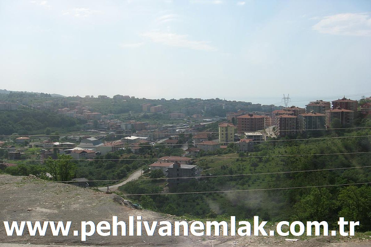 Alaplı Florya Sitesi Kiralık Daire