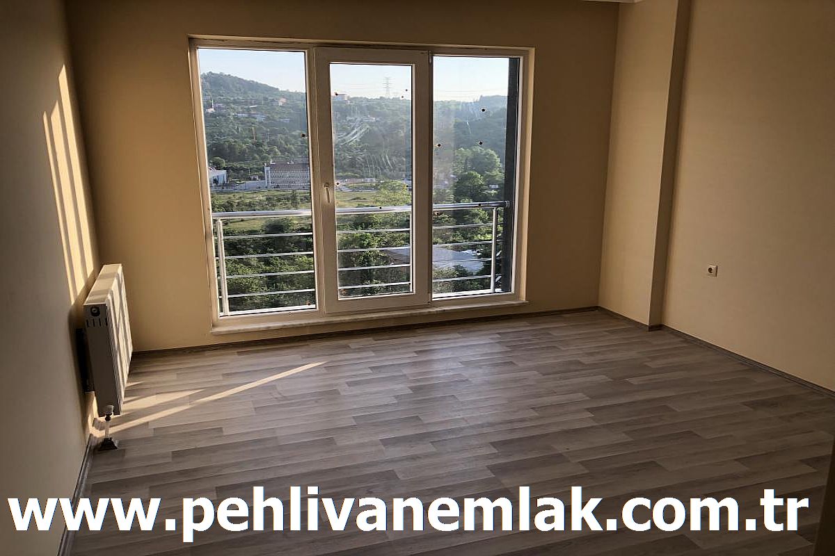 Sıfır Kiralık Daire Alaplı Pehlivan Emlak
