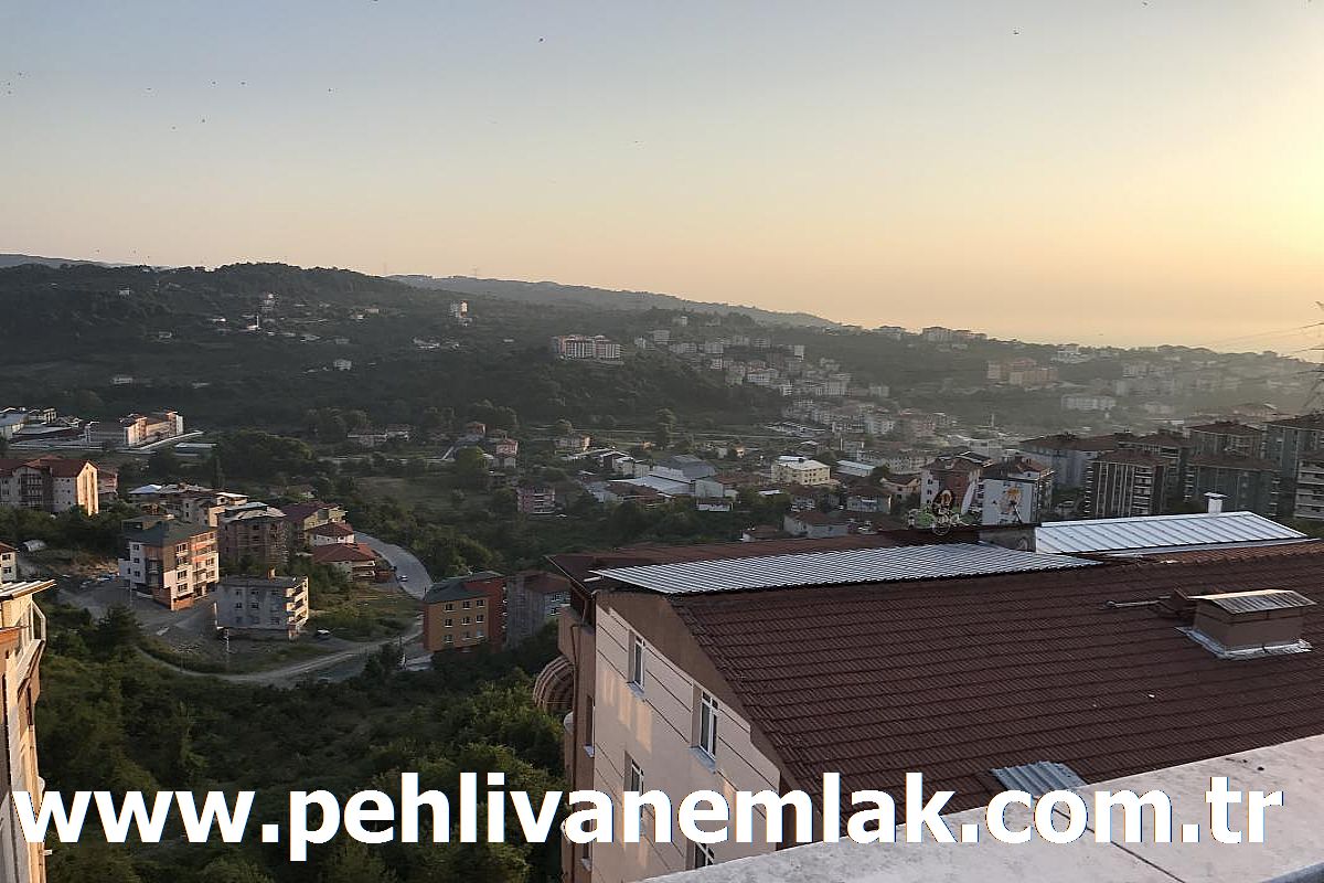 Alaplı Gençlik Sitesi Eşyalı Kiralık Daire