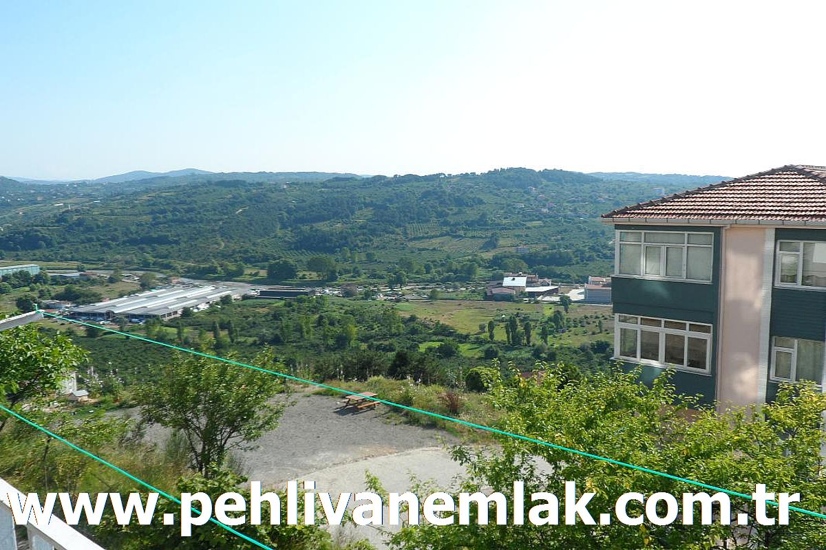 Alaplı Üniversiteye Yakın Kiralık Daire