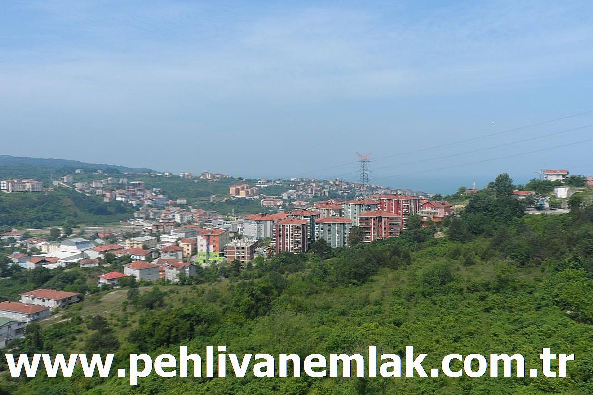 Alaplı Tepeköy Eşyalı Kiralık Daire