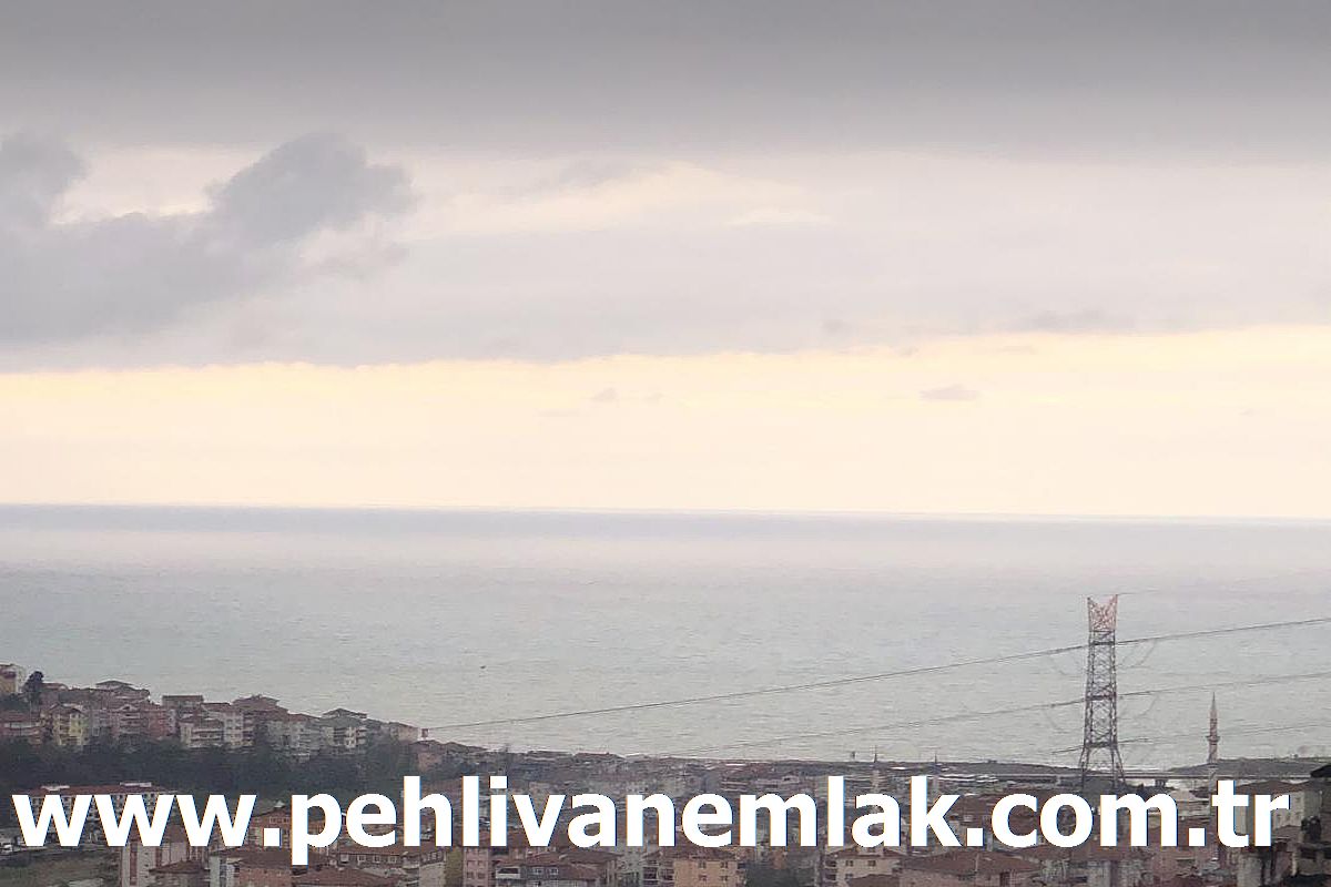 SATILIK SIFIR DAİRE PEHLİVAN EMLAK ALAPLI