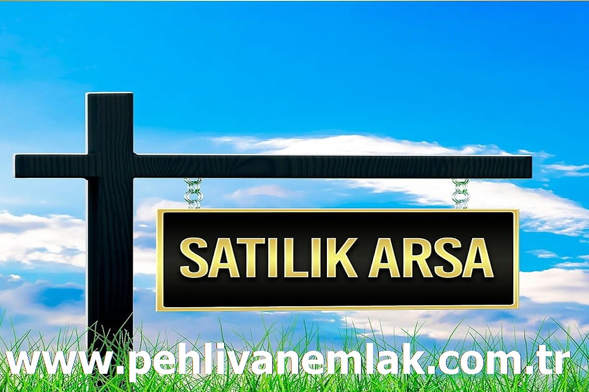 Alaplı Kılçak Köyü Satılık Arsa PEHLİVAN EMLAK
