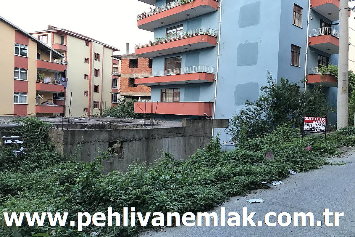 Alaplı Karşıyaka 442 m2 Satılık Arsa