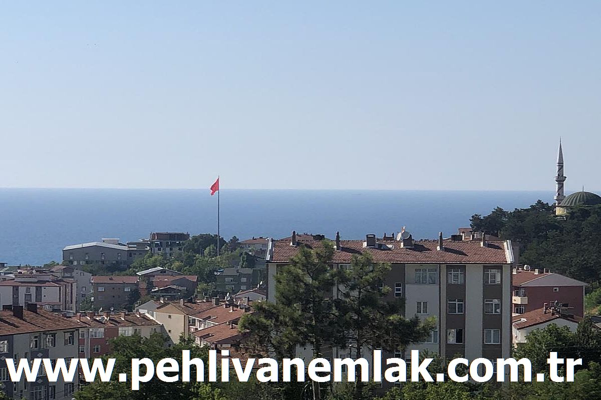 Alaplı Yeni Siteler Satılık Daire