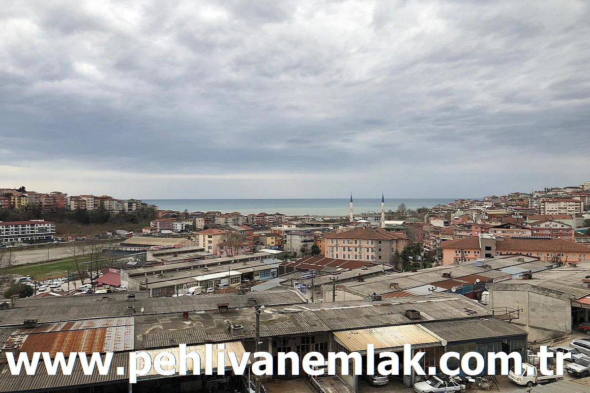 Alaplı Merkez Şehir Manzaralı Kiralık Daire
