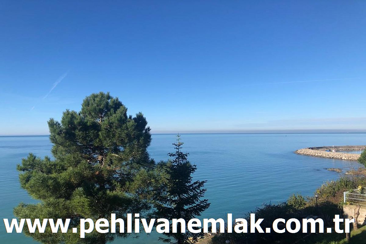 Alaplı Erdem Yuva Deniz Manzaralı Satılık Daire