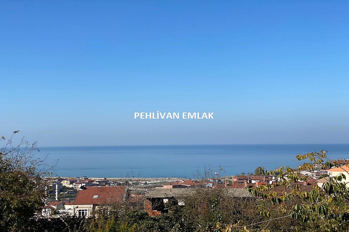 Alaplı Çarşıya Yakın Sıfır Satılık Daire