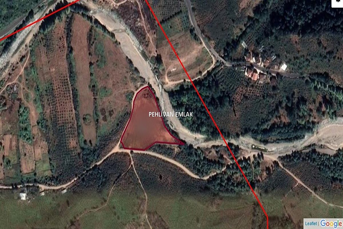 Alaplı Çatak Köyü Yol Kenarında Satılık Arsa