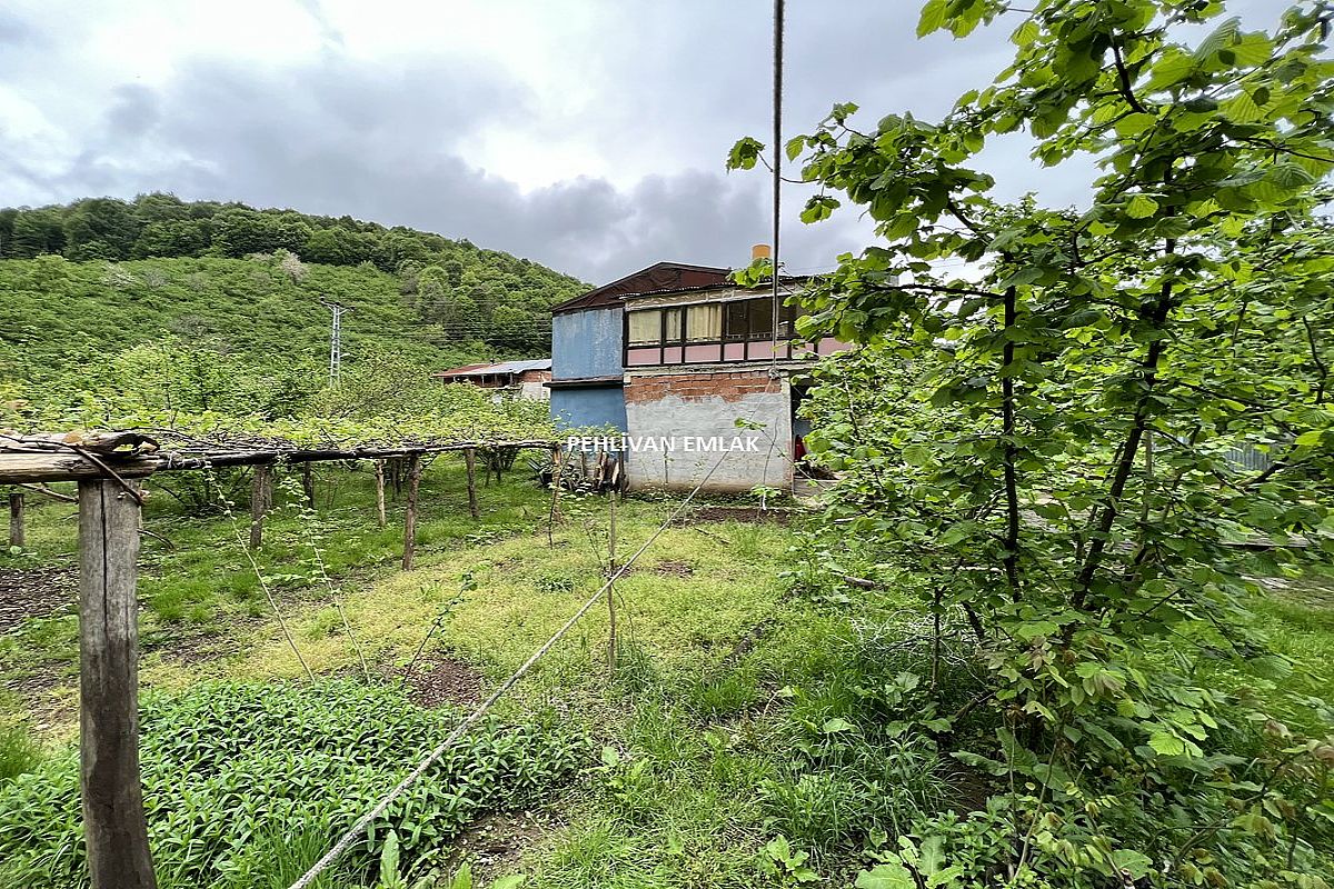 Pehlivan Emlak Alaplı 5200 m2 Satılık Arsa