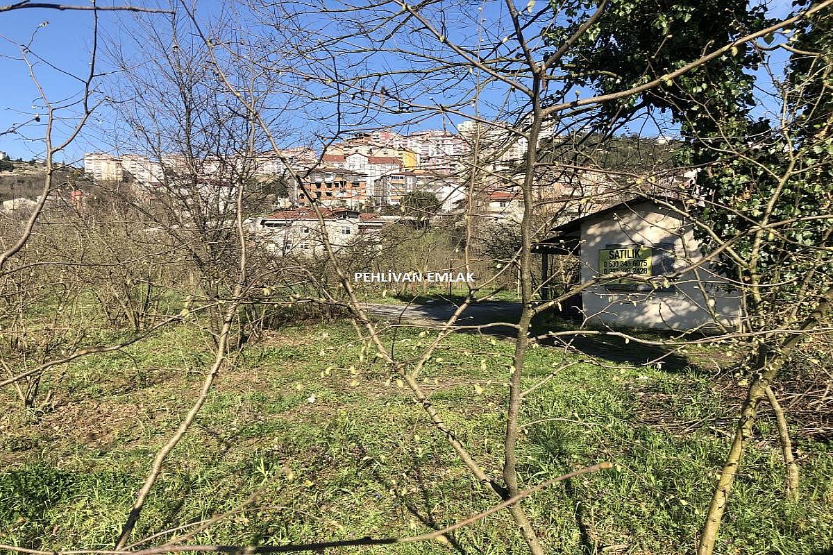 Alaplı Merkez Mah. Satılık İmarlı Arsa