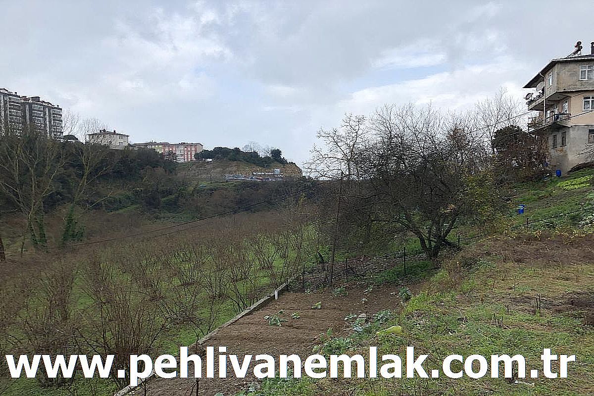 Alaplı Anayol Kenarında Satılık Arsa