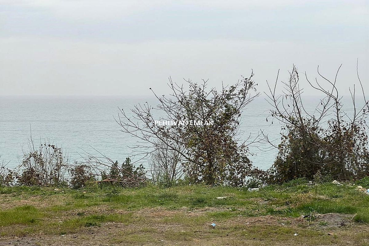 Alaplı Merkeze Yakın Deniz Manzaralı Satılık YENİ Daire