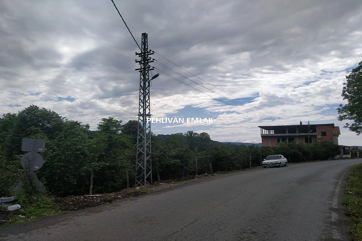 Alaplı Anayol Kenarında Satılık Fındık Tarlası