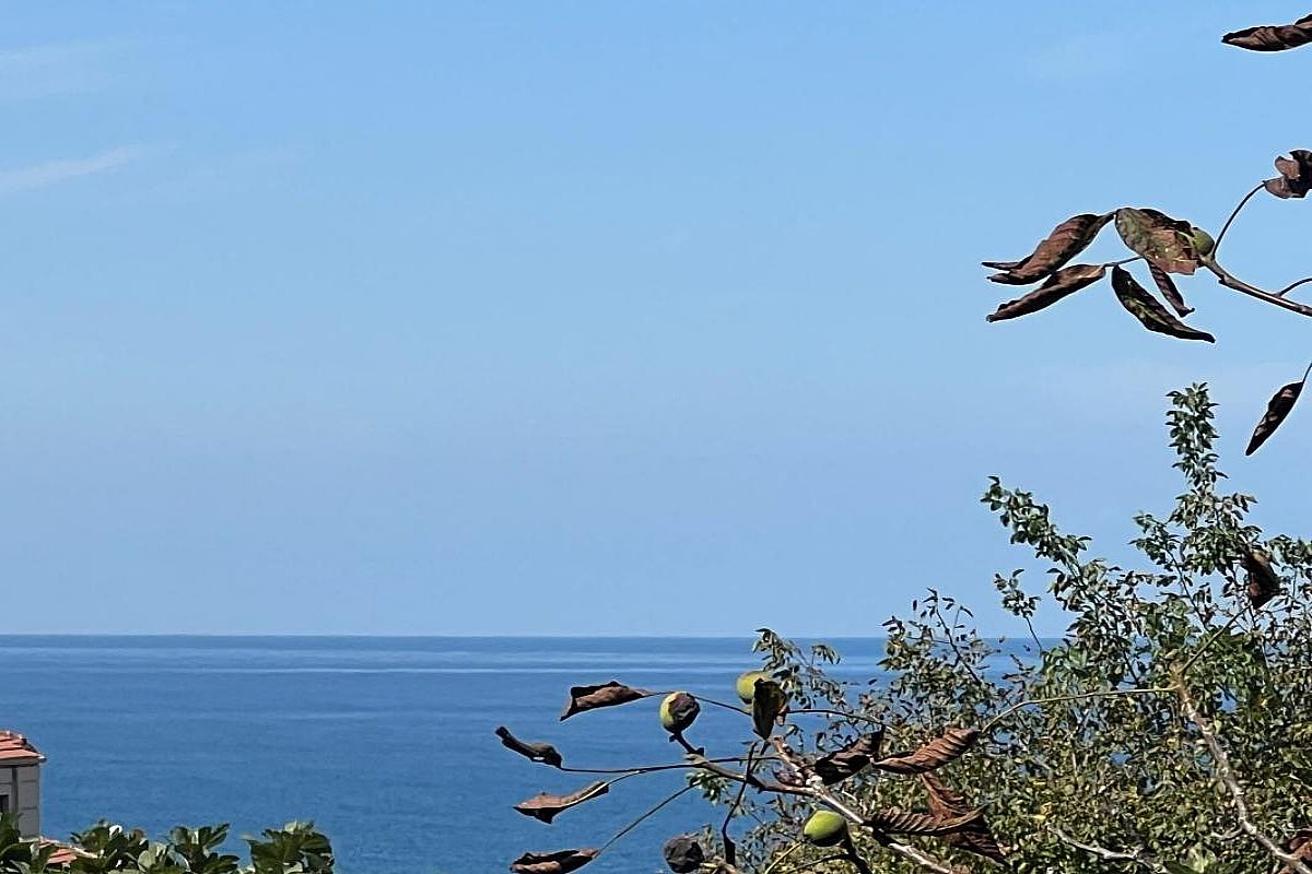Alaplı Karşıyaka Deniz Manzaralı Satılık Sıfır Daire