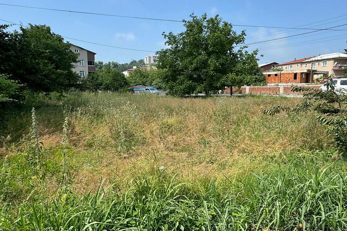 Alaplı Merkez Satılık Arsa