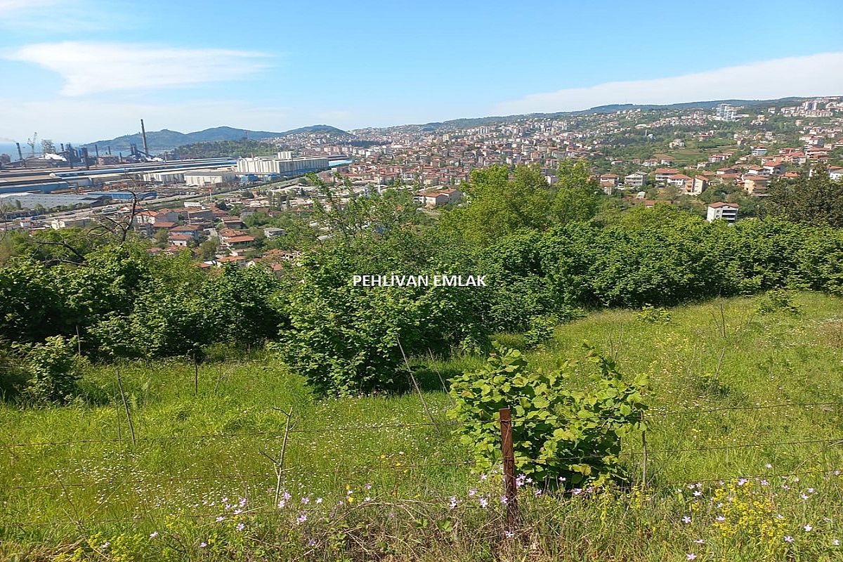 Ereğli Köseler Mah. 1370 m2 Satılık Arsa