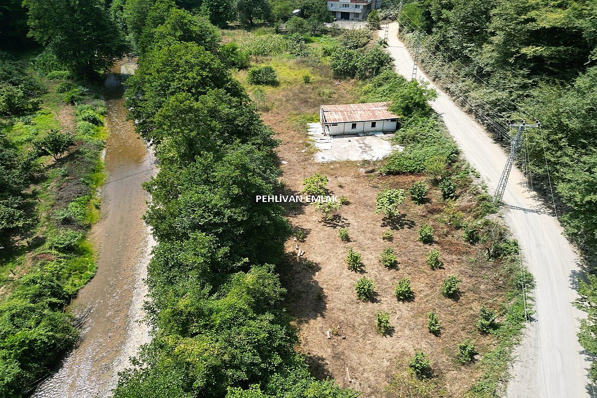 Alaplı Kocaman Yol Kenarında Satılık Arsa