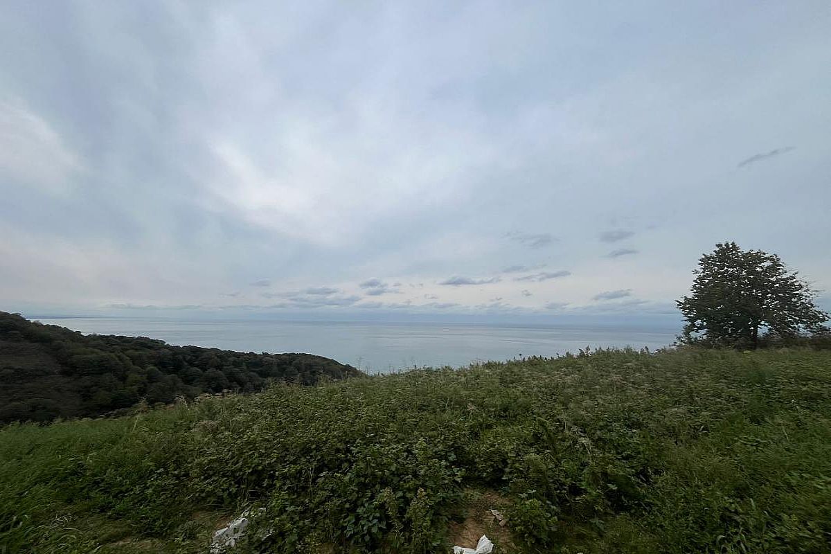 Alaplı Kıran Köyü Satılık Deniz Manzaralı Fındık Tarlası
